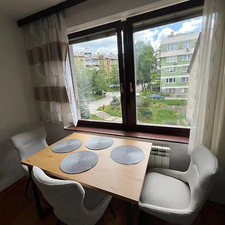 Bright In A Area Apartment Sarajevo