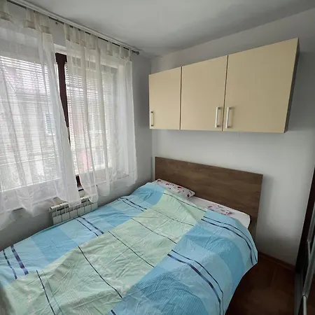 Bright In A Area Apartment